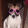 Profilbild von Margot