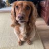 aliraff1111's profile picture