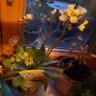Фото профиля Marieluise