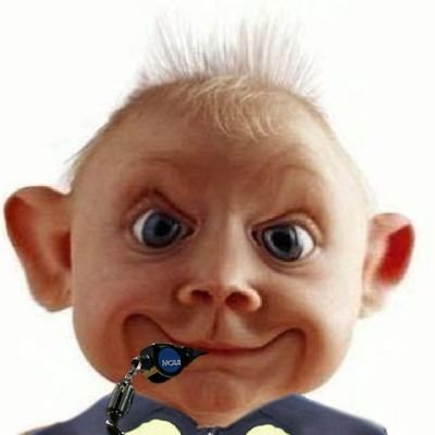 BigSportMemes's profile picture