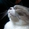 Profilbild von Mr.ロンリー