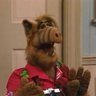 Profilbild von Carquidel