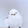 ringo_apple 的头像