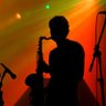 Afonso Bolognani's profile picture