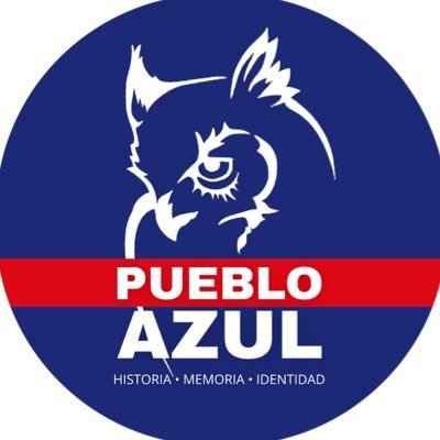 puebloazul_cl's profile picture