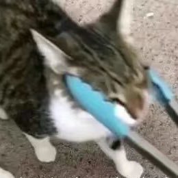 Dreamwww2's profile picture
