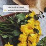 Фото профиля ميم
