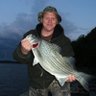 Ken D's profile picture