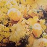 🌼にこの💛's profile picture