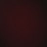 Shay's profile picture