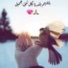 مأمون الشوربجى profil fotoğrafı