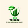 éco-tribune 的头像