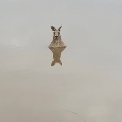 BestCasually's profile picture