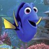 Фото профиля drfish