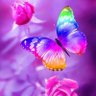 Фото профиля Elaine Moraes