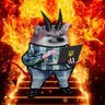 IT Fella 🇺🇦🇺🇸's profile picture