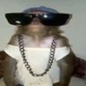 Profilbild von nimbuszin