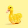 Profilbild von Riggon
