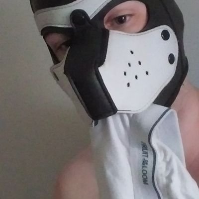 SnootoftheLoom's profile picture