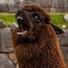 (((Some Accounts You’ve Liked Often))) profil fotoğrafı