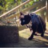 Wup profil fotoğrafı