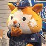 Profilbild von たー