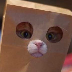 NotSpecial's profile picture