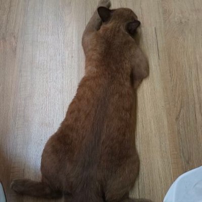 ไม่รับรู้'s profile picture