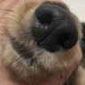 からあげ's profile picture