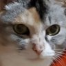 みゆき's profile picture