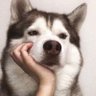 Profilbild von 霖上