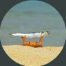 Randomistic's profile picture