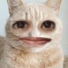 Lalisa Maugoban's profile picture