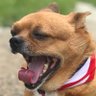 CW฿฿฿฿฿chou's profile picture
