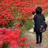 RiSA*☻ profil fotoğrafı