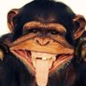 Profilbild von aboudou louflich