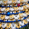 Фото профиля 🐯みゆ🐯
