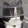 Profilbild von roonerspism