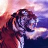 Dream Glider's profile picture