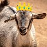 Culé profil fotoğrafı