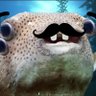 Profilbild von IamJAG_GG 