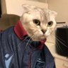Osman Samet TOK ⚙️'s profile picture