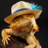 DJ 🅰️itch's profile picture