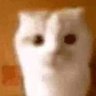 Joely's profile picture