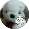 えーこ's profile picture