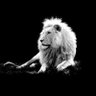 Luis Calderón's profile picture