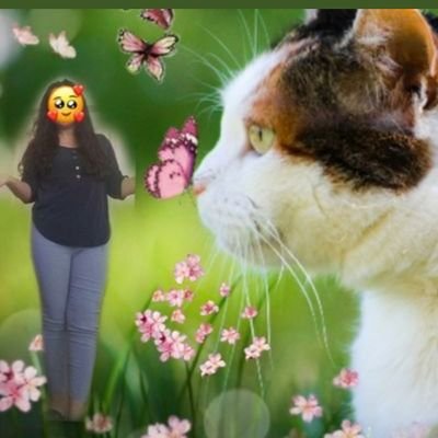 svgcni's profile picture