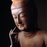 こころ profil fotoğrafı