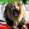 🇮🇷👑گروگان در چهارمين كشور ثروتمند جهان👑🇮🇷 profil fotoğrafı