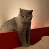 Profilbild von Ingrid W